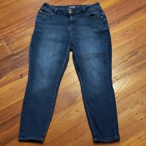 Terra & Sky Skinny Jean's